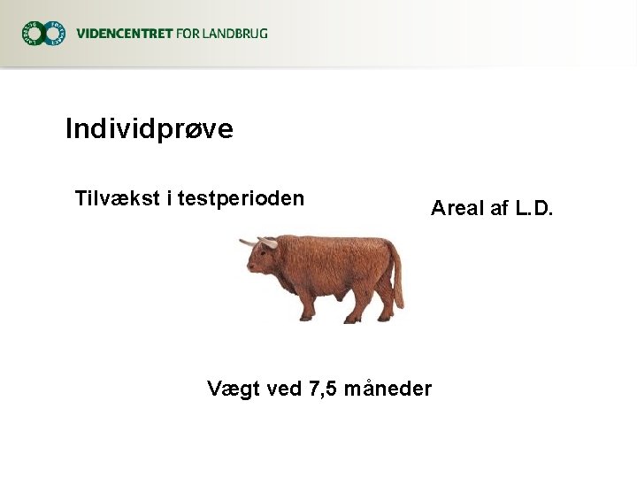 Individprøve Tilvækst i testperioden Areal af L. D. Vægt ved 7, 5 måneder 