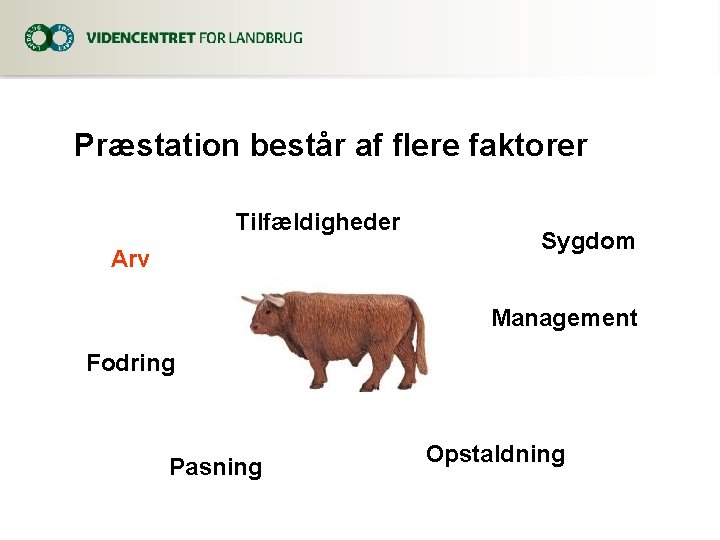 Præstation består af flere faktorer Tilfældigheder Arv Sygdom Management Fodring Pasning Opstaldning 