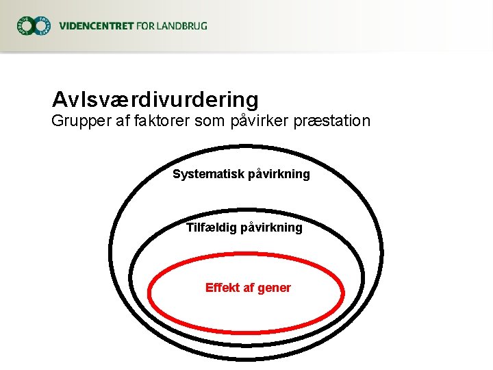 Avlsværdivurdering Grupper af faktorer som påvirker præstation Systematisk påvirkning Tilfældig påvirkning Effekt af gener