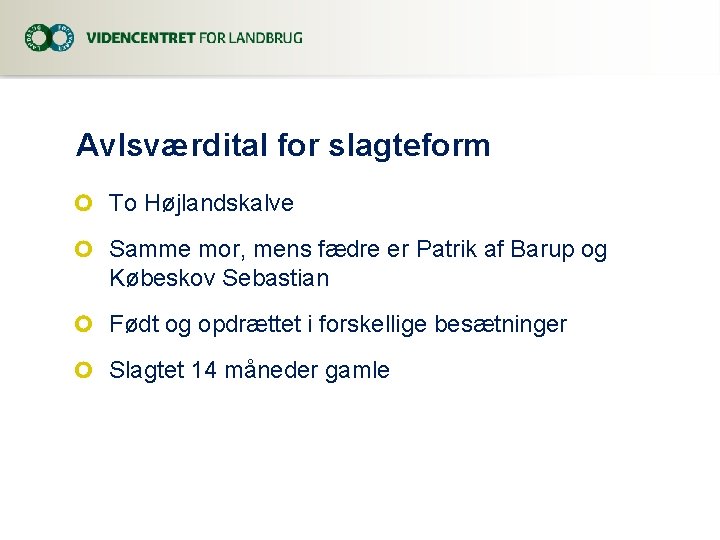 Avlsværdital for slagteform To Højlandskalve Samme mor, mens fædre er Patrik af Barup og