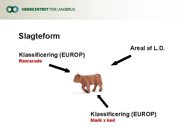 Slagteform Areal af L. D. Klassificering (EUROP) Renracede Klassificering (EUROP) Mælk x kød 