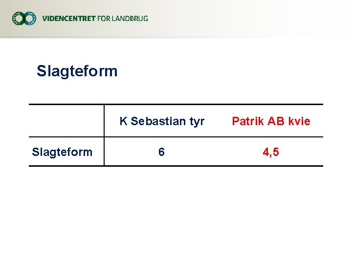 Slagteform K Sebastian tyr Patrik AB kvie 6 4, 5 