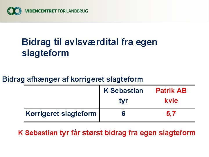 Bidrag til avlsværdital fra egen slagteform Bidrag afhænger af korrigeret slagteform K Sebastian tyr