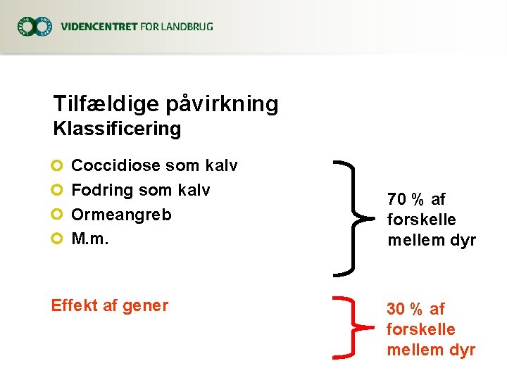 Tilfældige påvirkning Klassificering Coccidiose som kalv Fodring som kalv Ormeangreb M. m. Effekt af