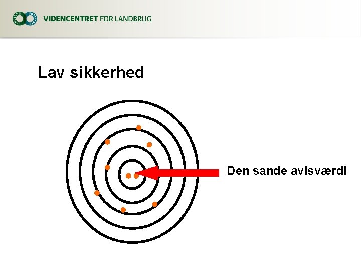 Lav sikkerhed Den sande avlsværdi 