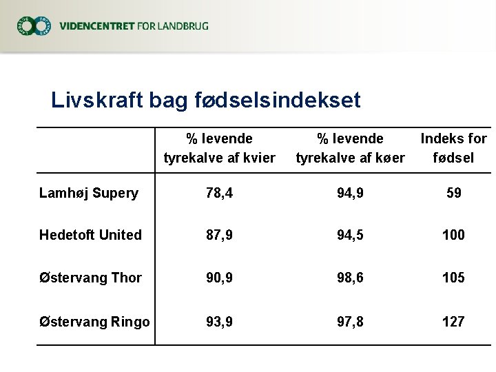 Livskraft bag fødselsindekset % levende tyrekalve af kvier % levende tyrekalve af køer Indeks