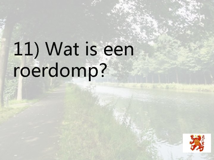 11) Wat is een roerdomp? 