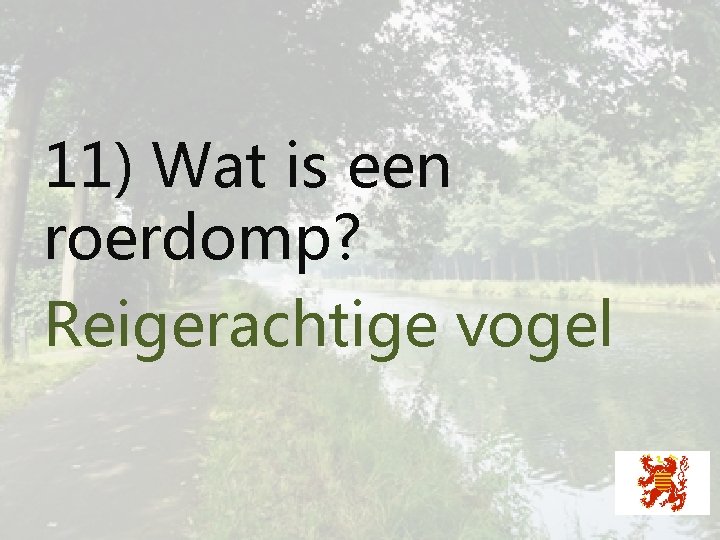 11) Wat is een roerdomp? Reigerachtige vogel 