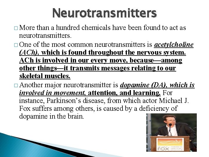 Neurotransmitters � More than a hundred chemicals have been found to act as neurotransmitters.