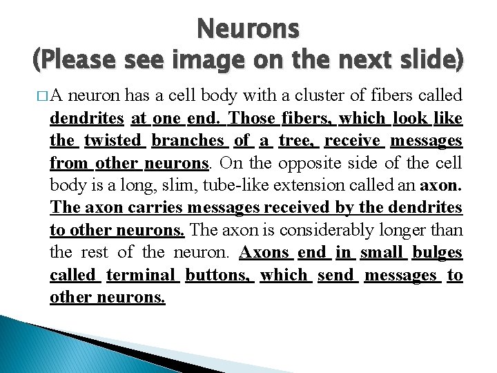 Neurons (Please see image on the next slide) �A neuron has a cell body