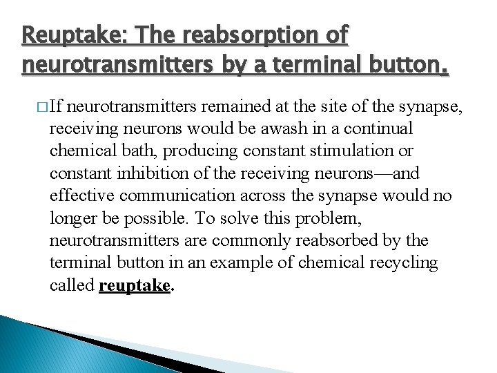 Reuptake: The reabsorption of neurotransmitters by a terminal button. � If neurotransmitters remained at