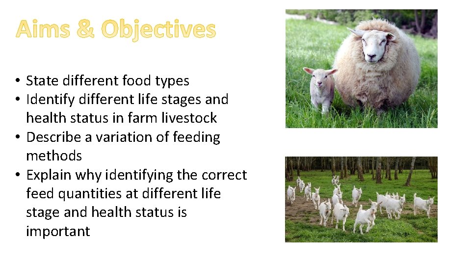  • State different food types • Identify different life stages and health status