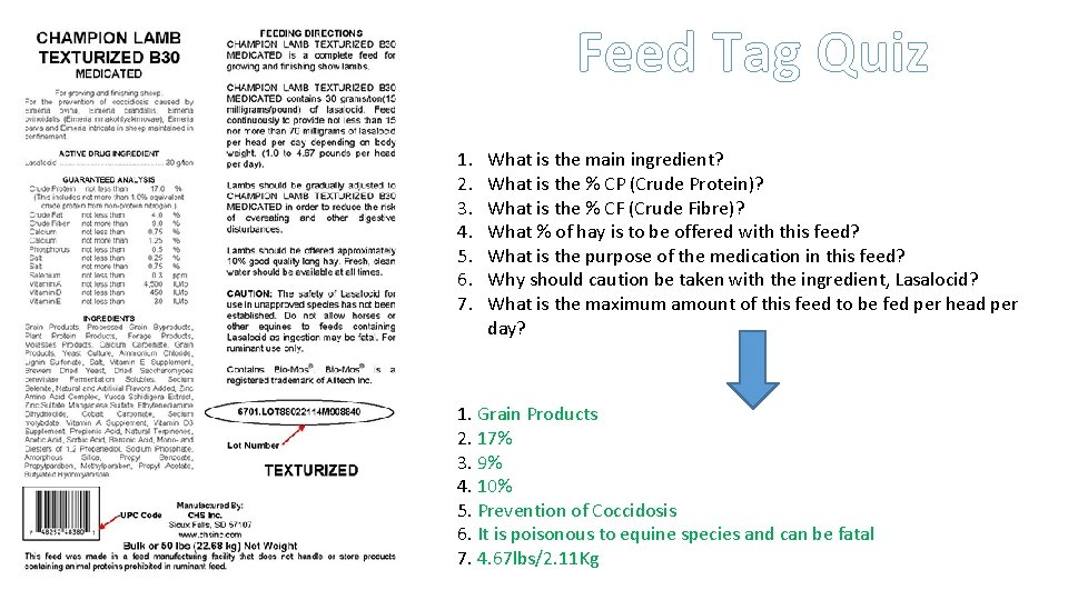 Feed Tag Quiz 1. 2. 3. 4. 5. 6. 7. What is the main