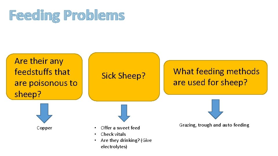 Feeding Problems Are their any feedstuffs that are poisonous to sheep? Copper Sick Sheep?