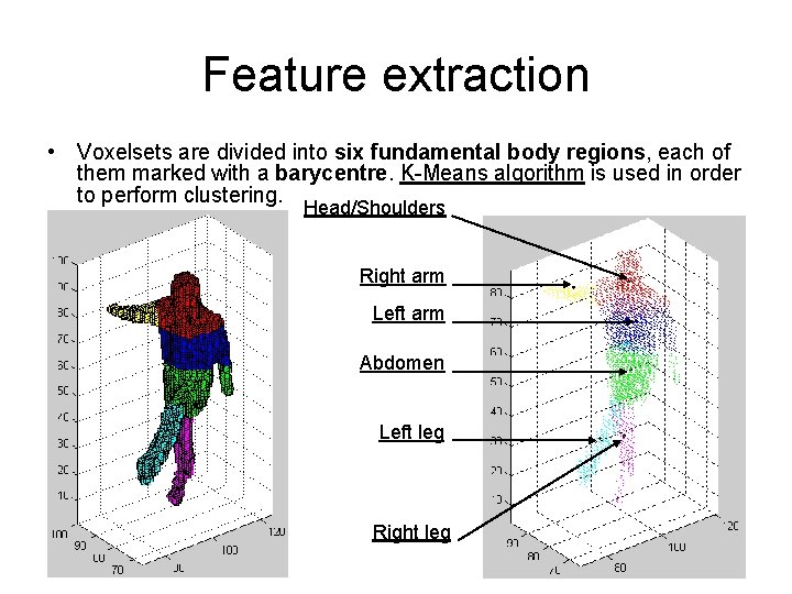 Feature extraction • Voxelsets are divided into six fundamental body regions, each of them