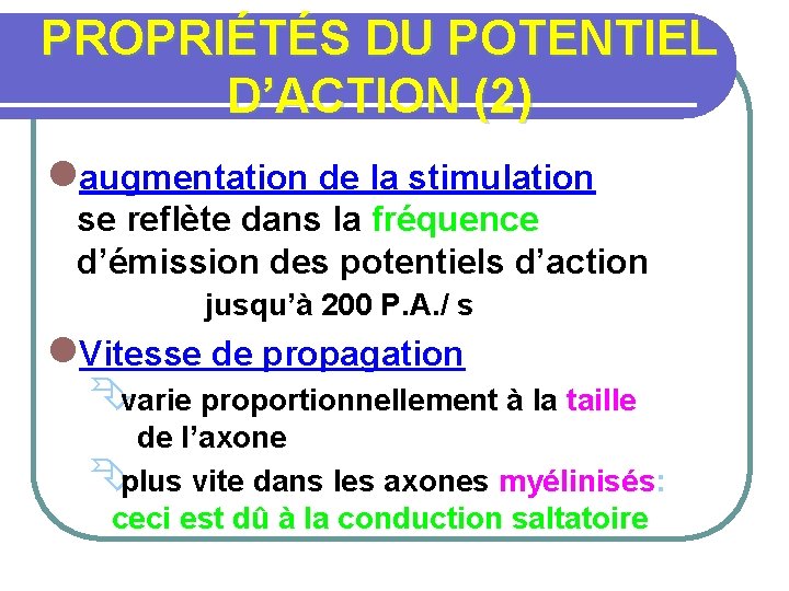 PROPRIÉTÉS DU POTENTIEL D’ACTION (2) laugmentation de la stimulation se reflète dans la fréquence