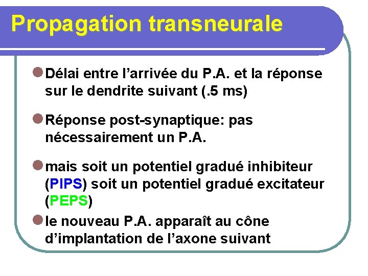 Propagation transneurale l Délai entre l’arrivée du P. A. et la réponse sur le