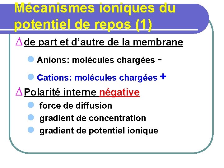 Mécanismes ioniques du potentiel de repos (1) ∆ de part et d’autre de la