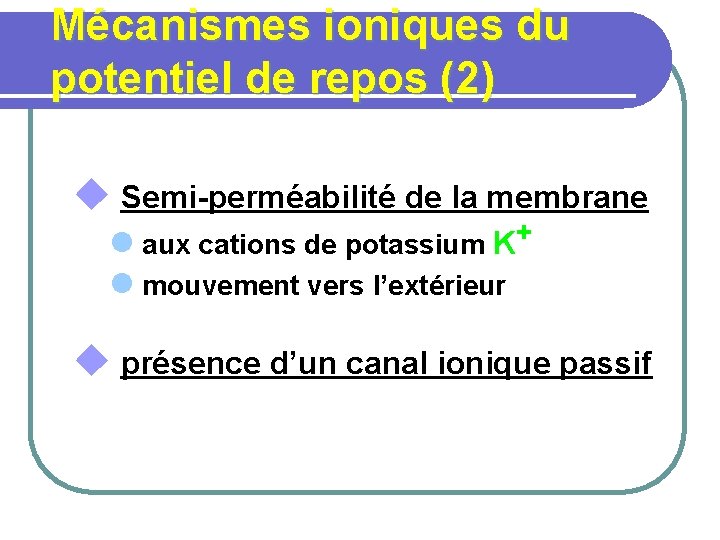 Mécanismes ioniques du potentiel de repos (2) u Semi-perméabilité de la membrane l aux