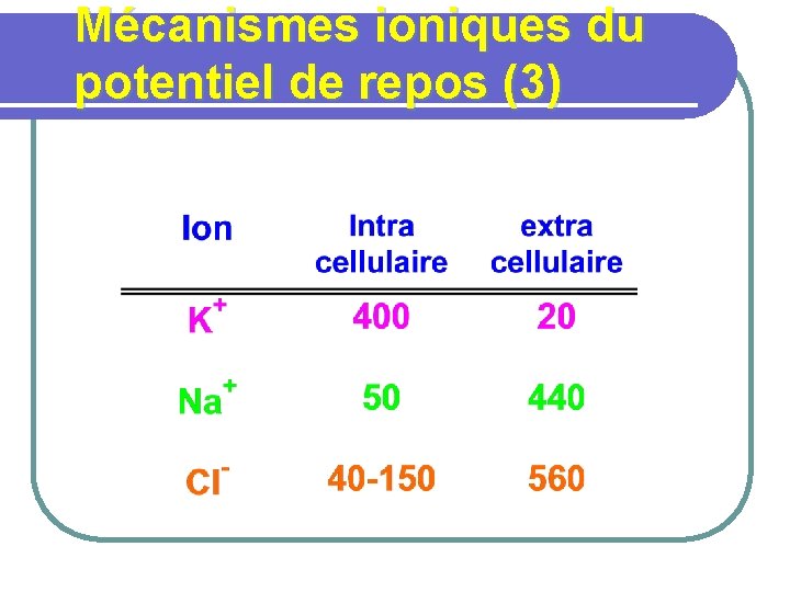Mécanismes ioniques du potentiel de repos (3) 