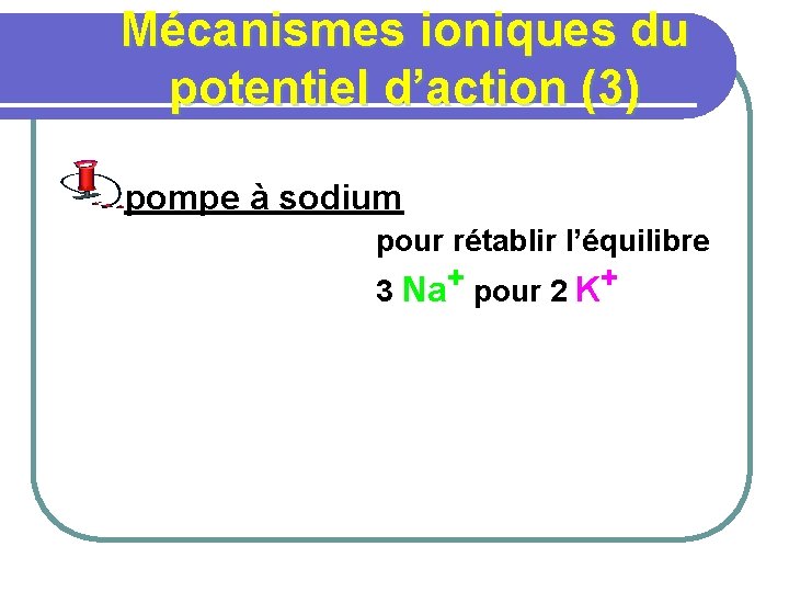 Mécanismes ioniques du potentiel d’action (3) pompe à sodium pour rétablir l’équilibre 3 Na+
