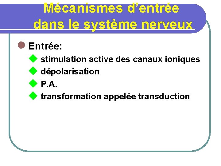 Mécanismes d’entrée dans le système nerveux l Entrée: u stimulation active des canaux ioniques