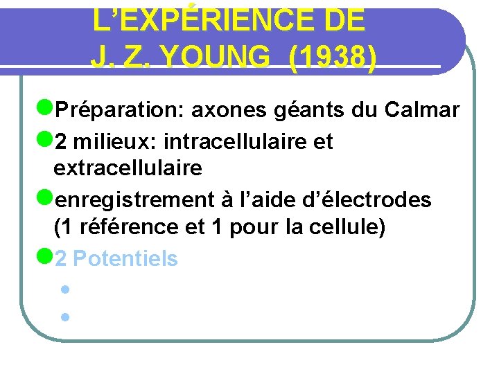 L’EXPÉRIENCE DE J. Z. YOUNG (1938) l. Préparation: axones géants du Calmar l 2