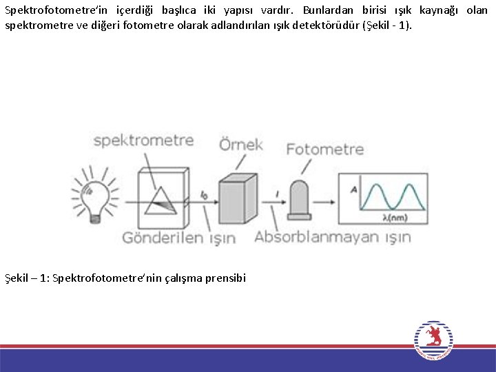 Spektrofotometre’in içerdiği başlıca iki yapısı vardır. Bunlardan birisi ışık kaynağı olan spektrometre ve diğeri