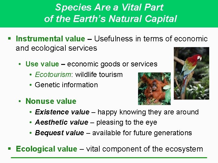 Species Are a Vital Part of the Earth’s Natural Capital § Instrumental value –