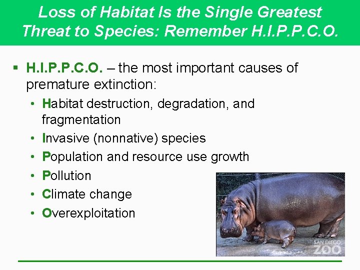 Loss of Habitat Is the Single Greatest Threat to Species: Remember H. I. P.