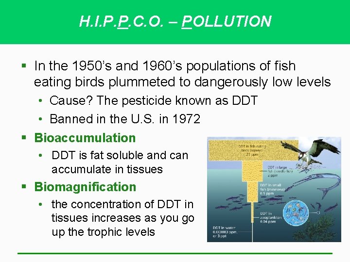 H. I. P. P. C. O. – POLLUTION § In the 1950’s and 1960’s