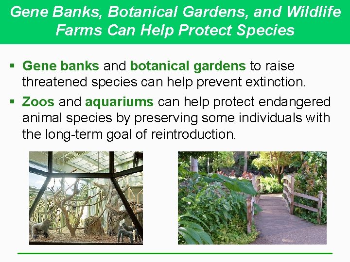 Gene Banks, Botanical Gardens, and Wildlife Farms Can Help Protect Species § Gene banks