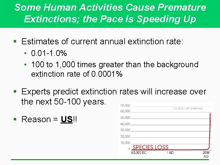 Some Human Activities Cause Premature Extinctions; the Pace Is Speeding Up § Estimates of