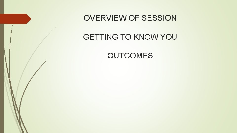 OVERVIEW OF SESSION GETTING TO KNOW YOU OUTCOMES 