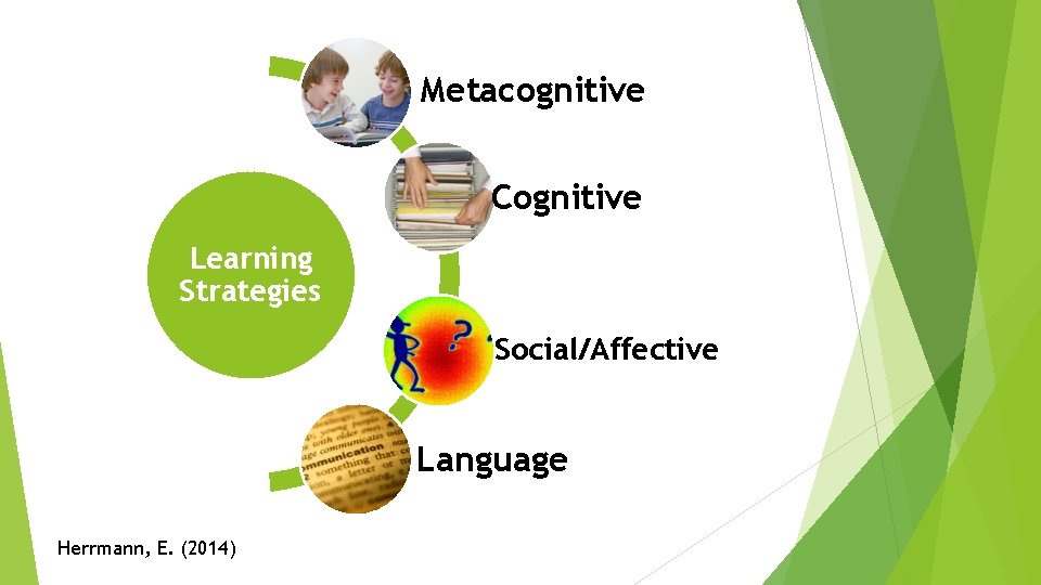 Metacognitive Cognitive Learning Strategies Social/Affective Language Herrmann, E. (2014) 