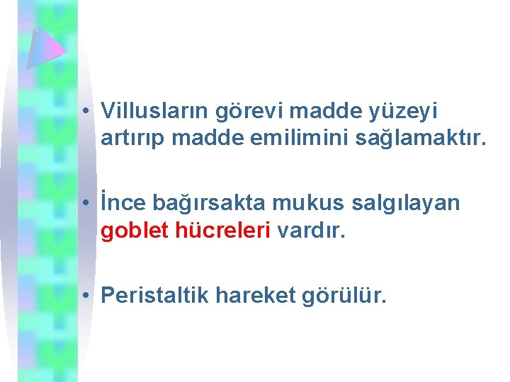  • Villusların görevi madde yüzeyi artırıp madde emilimini sağlamaktır. • İnce bağırsakta mukus