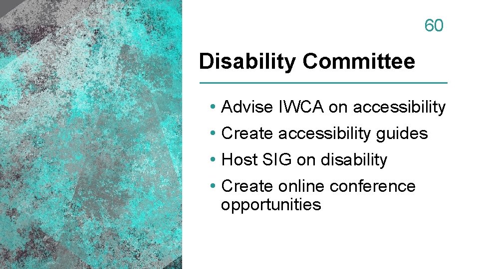 60 Disability Committee • • Advise IWCA on accessibility Create accessibility guides Host SIG