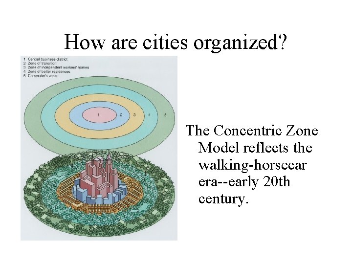 How are cities organized? The Concentric Zone Model reflects the walking-horsecar era--early 20 th