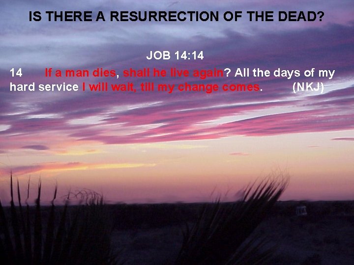 IS THERE A RESURRECTION OF THE DEAD? JOB 14: 14 14 If a man