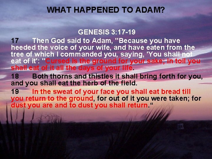 WHAT HAPPENED TO ADAM? GENESIS 3: 17 -19 17 Then God said to Adam,