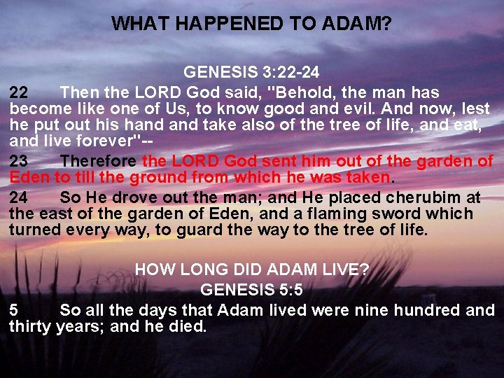 WHAT HAPPENED TO ADAM? GENESIS 3: 22 -24 22 Then the LORD God said,