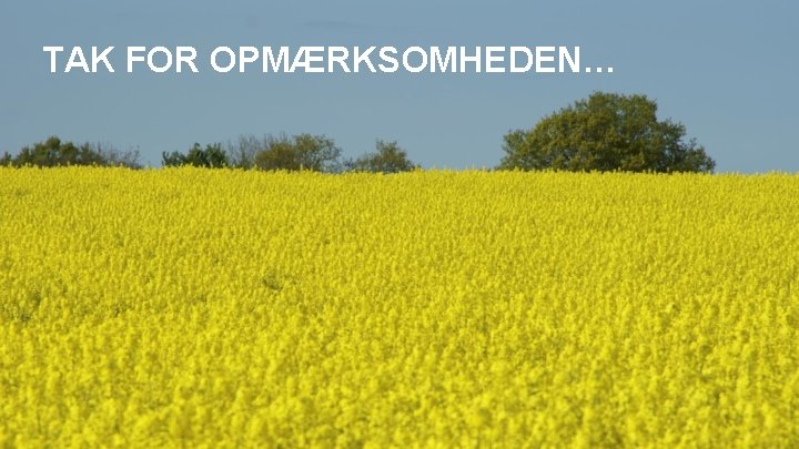 TAK FOR OPMÆRKSOMHEDEN… 