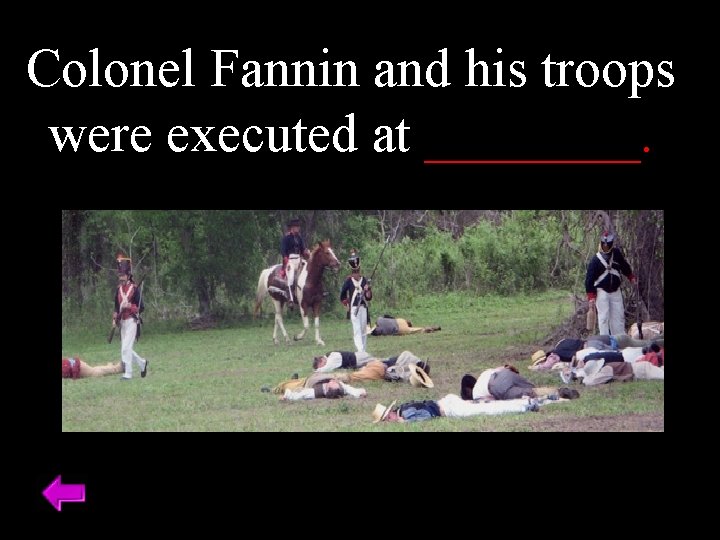 Colonel Fannin and his troops were executed at ____. 