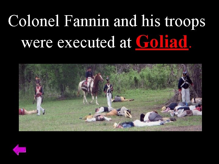 Colonel Fannin and his troops were executed at Goliad. 
