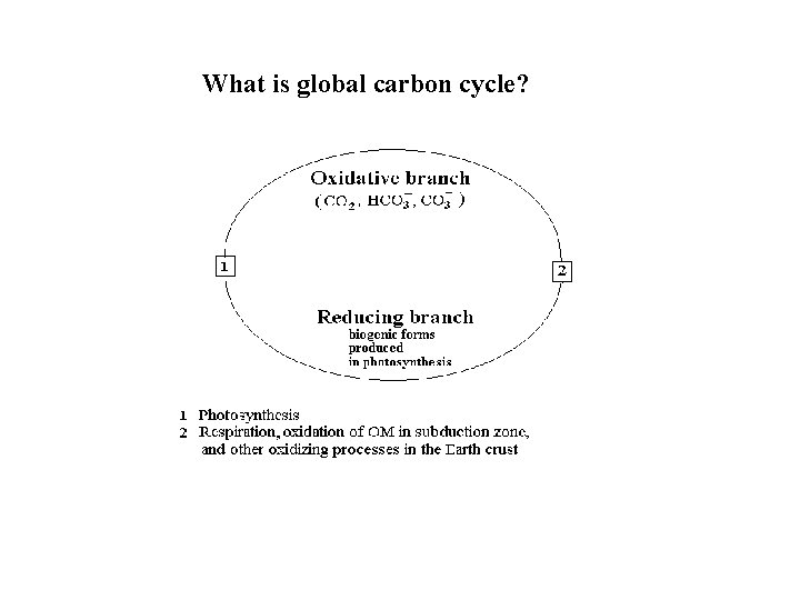 What is global carbon cycle? 