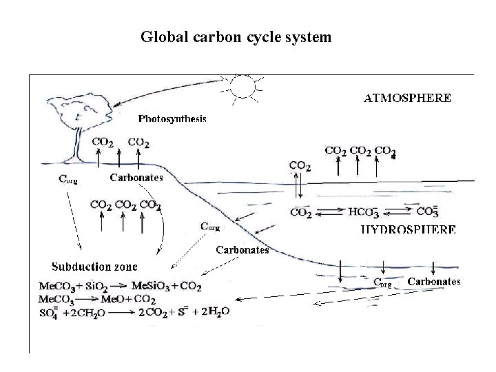 Global carbon cycle system 