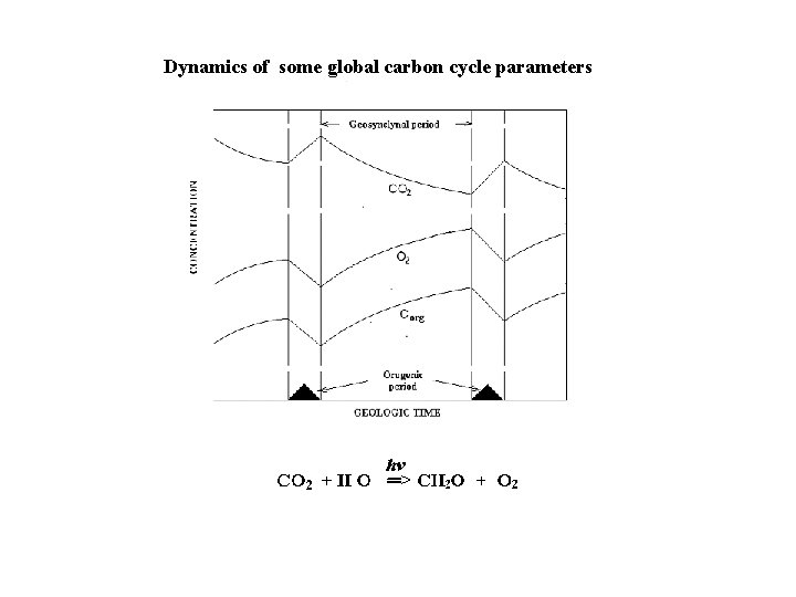 Dynamics of some global carbon cycle parameters 