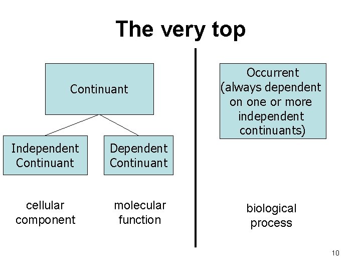 The very top Continuant Independent Continuant Dependent Continuant cellular component molecular function Occurrent (always