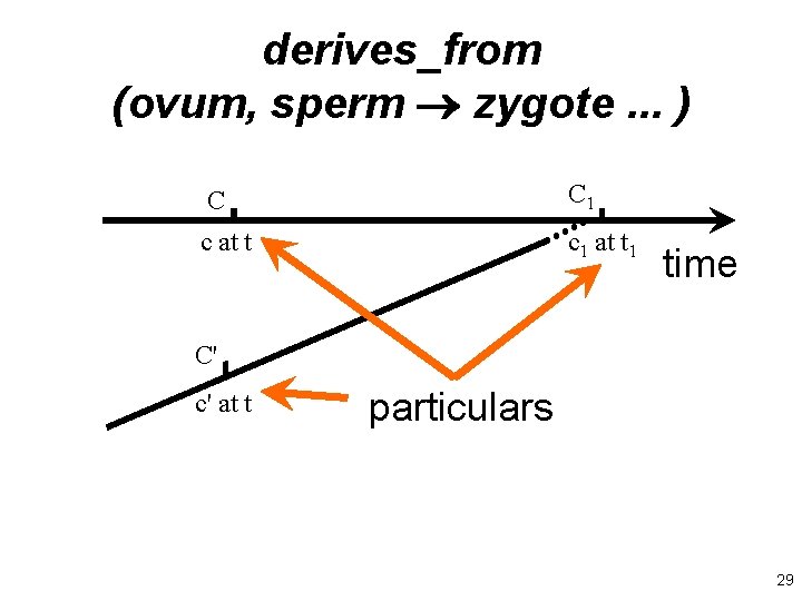 derives_from (ovum, sperm zygote. . . ) C C 1 c at t c