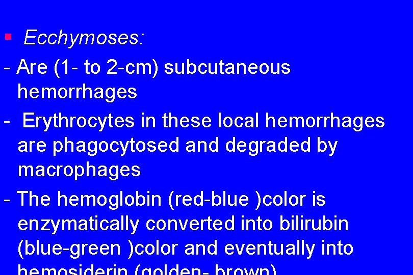 § Ecchymoses: - Are (1 - to 2 -cm) subcutaneous hemorrhages - Erythrocytes in